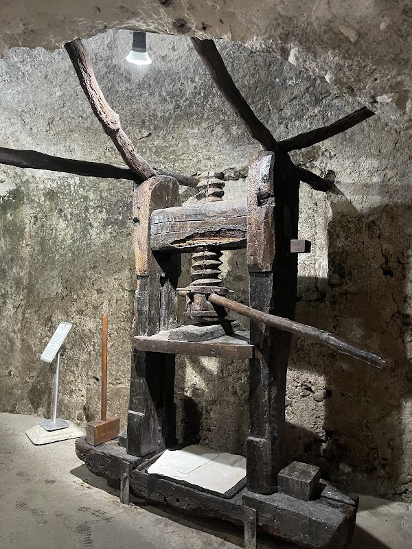 Paper Museum