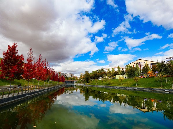 City park