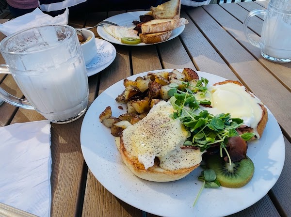 The Kiwi Cafe