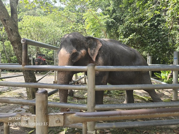 Na Muang Waterfall 1