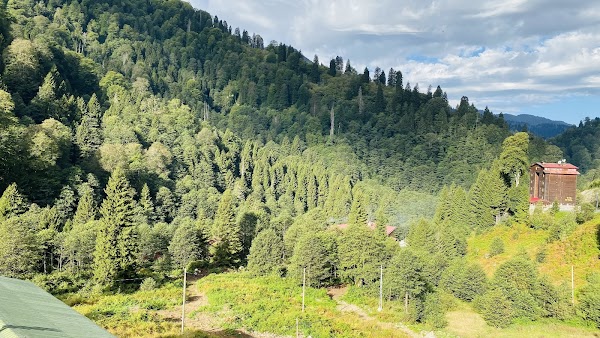 Uzungol Observation Deck