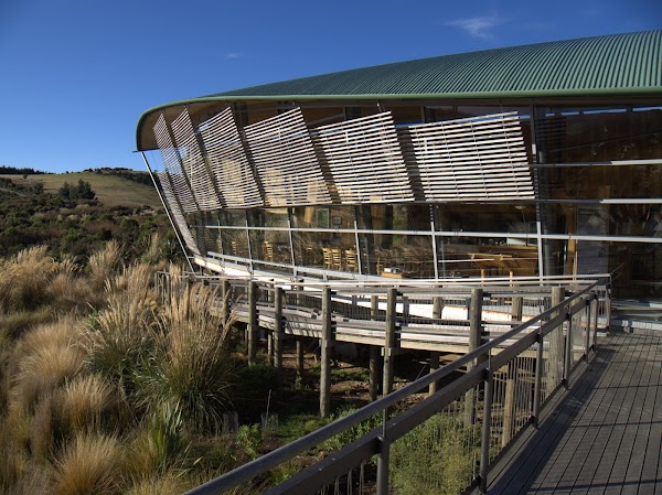 Orokonui Ecosanctuary