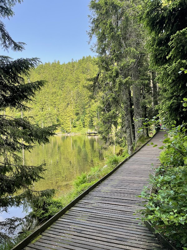 Mummelsee