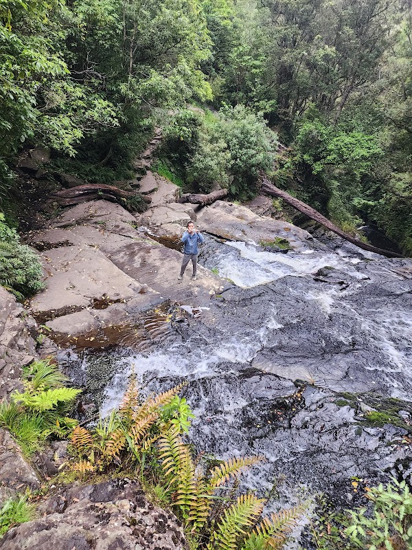 McLean Falls