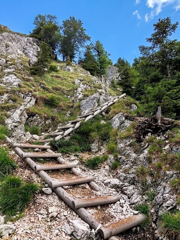 Frauenkopf
