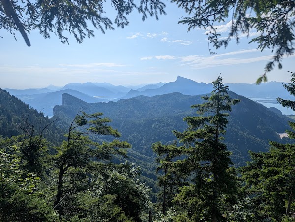 Frauenkopf