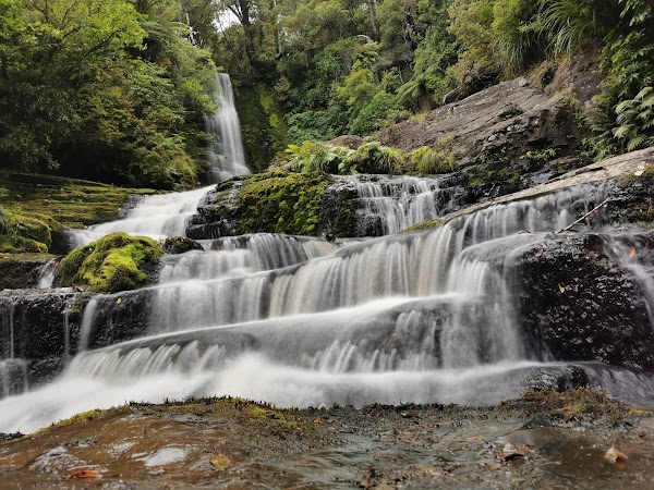 Catlins Forest Park