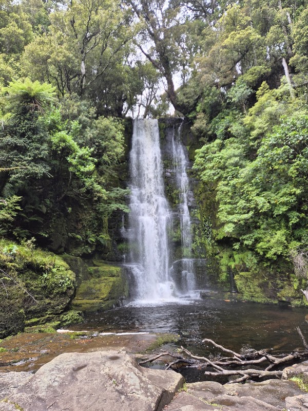 Catlins Forest Park