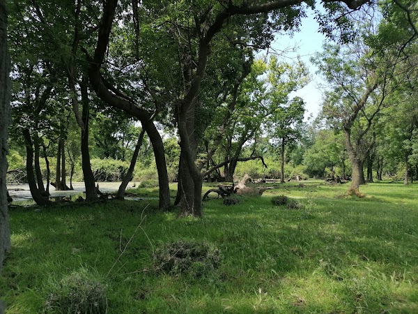 Karacabey Longoz Ormanları