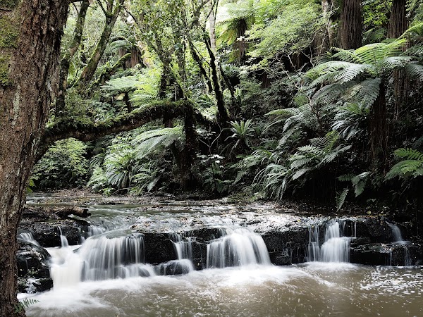 Purakaunui Falls