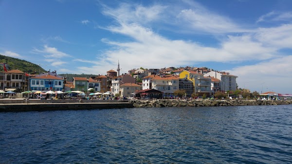 Trilye Coast