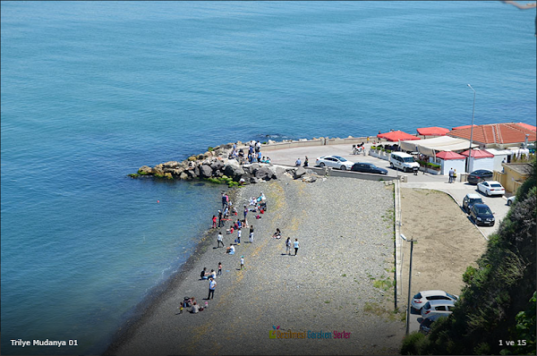 Trilye Coast