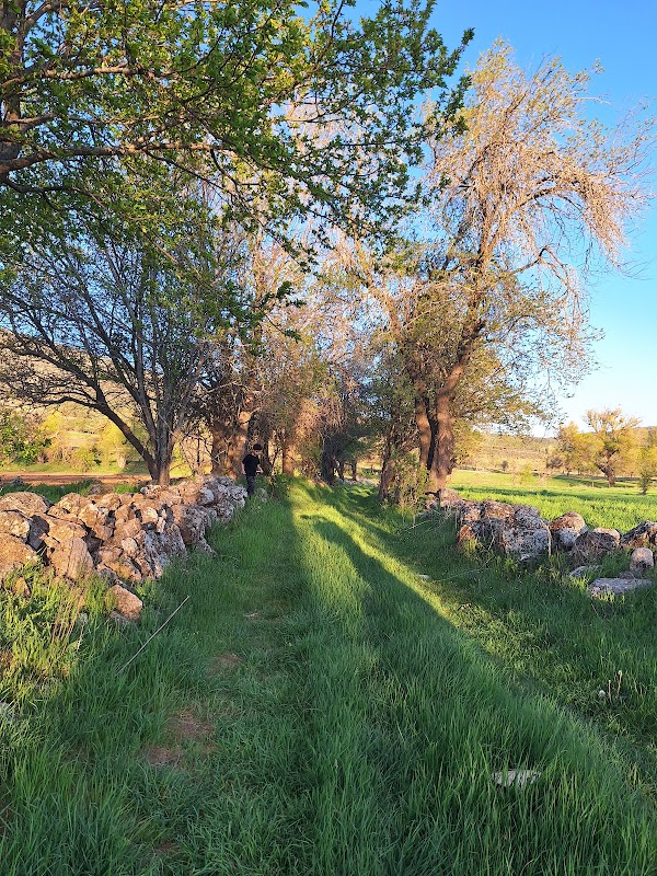 Sebastopolis Antik Kenti