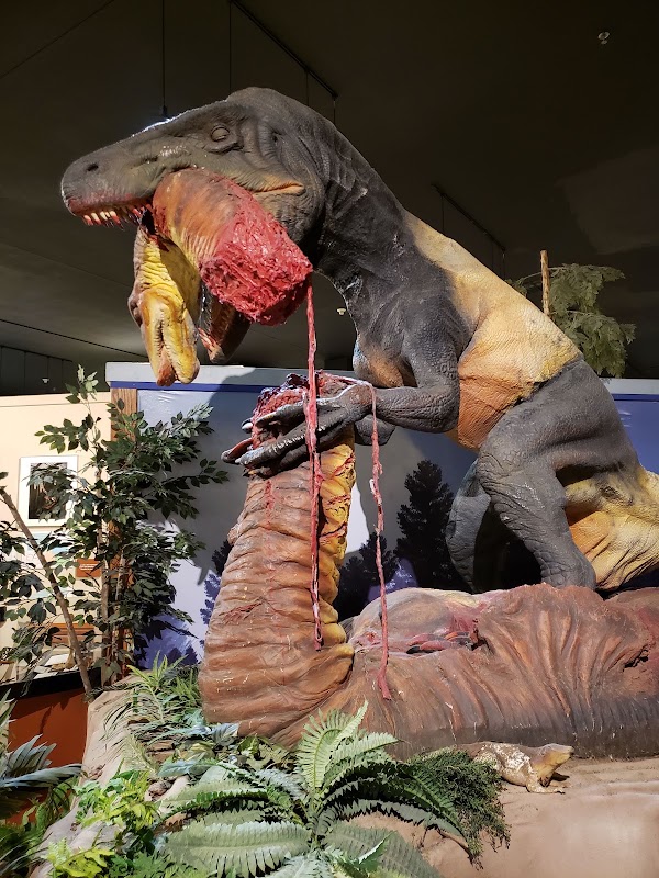 Dinosaur Journey Museum