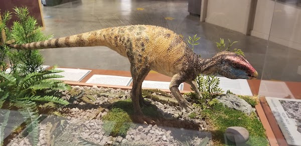 Dinosaur Journey Museum