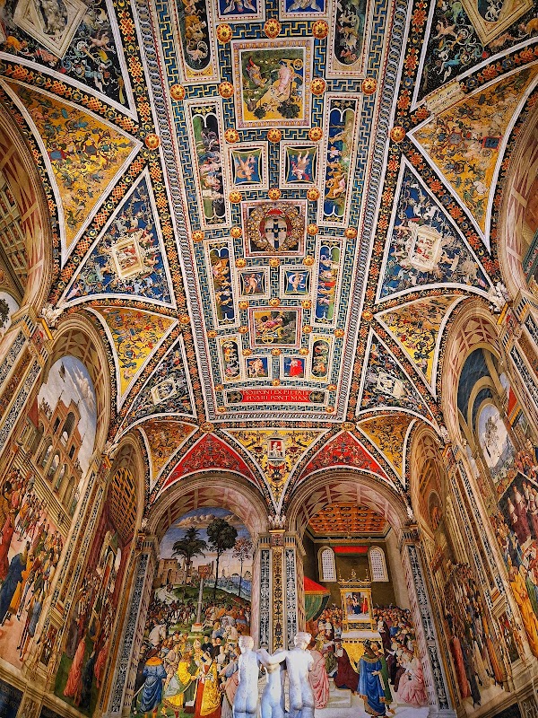 SienaKadetrali