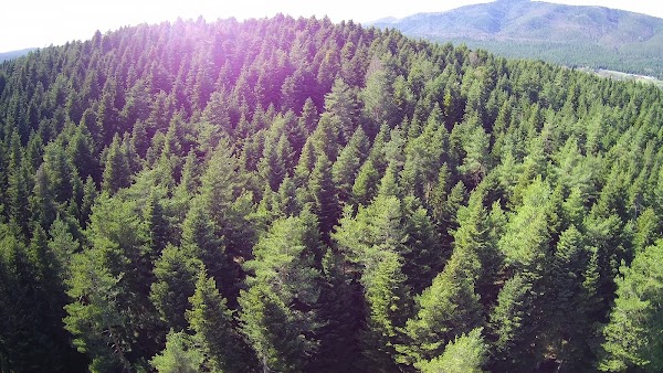 At Yaylası