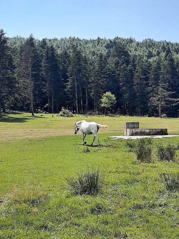 At Yaylası