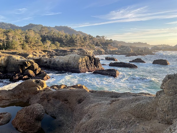 Point Lobos State Natural Reserve