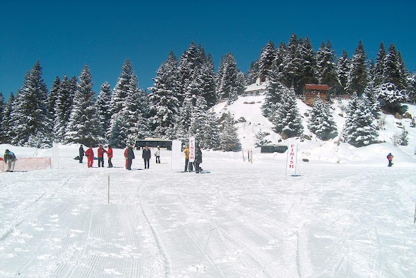 Arkut Dağı Kayak Merkezi