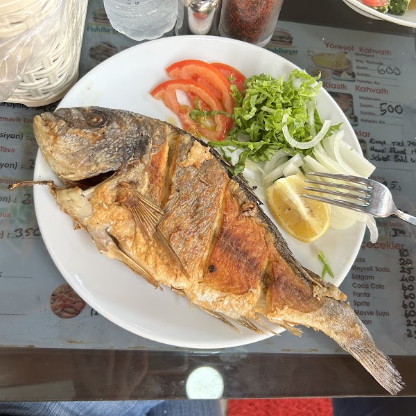 yazıcıoğlu deniz ürünleri