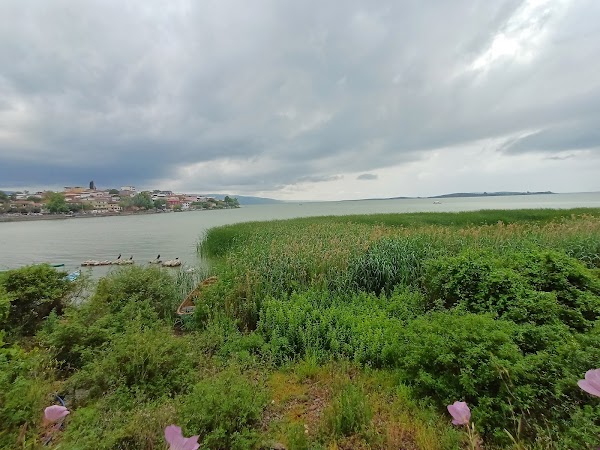 Apolyont Et Balık Kahvaltı