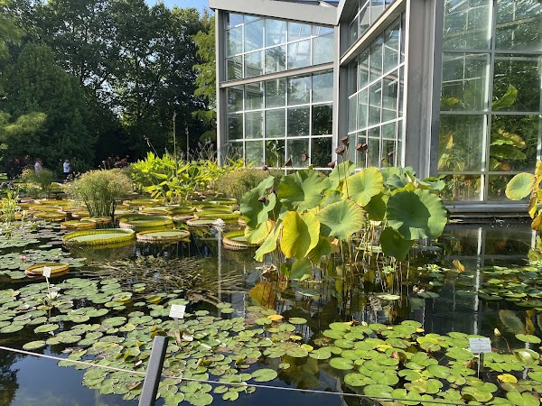 Palmengarten Frankfurt