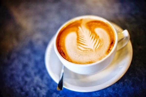 Northern Light Espresso Bar and Cafe