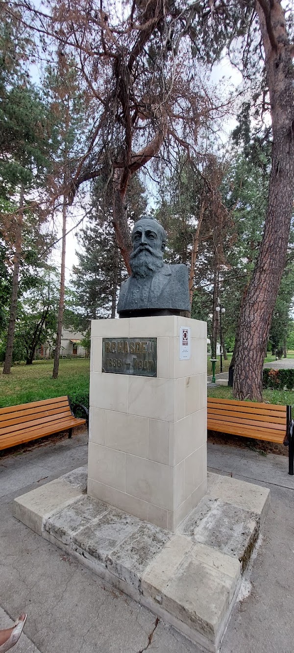 Bogdan Petriceicu Hasdeu Memorial Museum