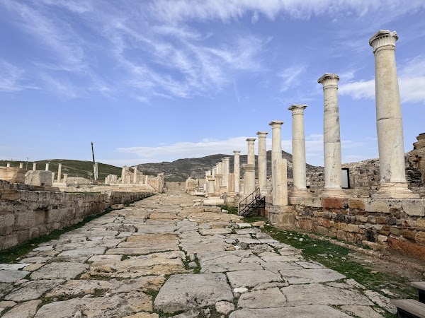 The Ancient City of Tripolis
