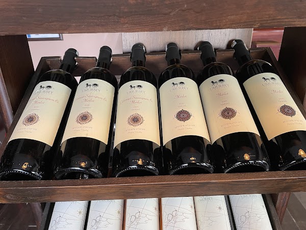 Umurbey Winehouse